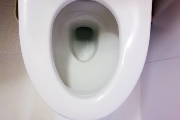 トイレの重要性と快適生活